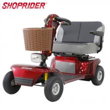 【必翔】TE-9D 電動代步車 (雙人共乘款)