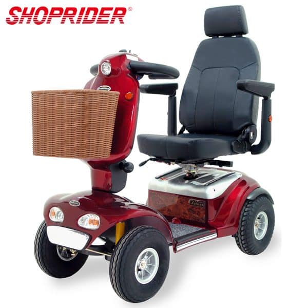 【必翔】TE-889SLF 電動代步車 (豪華高背款)