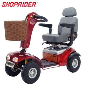 【必翔】TE-889SLP 電動代步車
