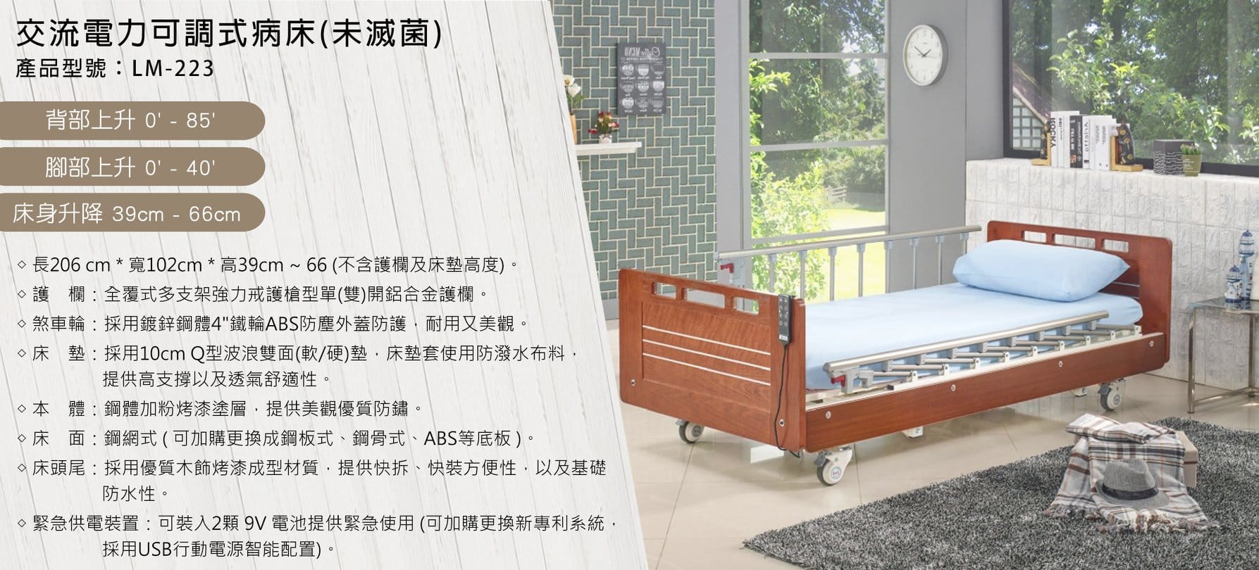 【立明】LM223 照顧床:圖片 2